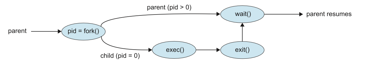 Figure: Process creation using the fork() system call.